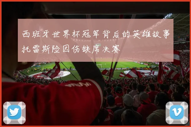 西班牙世界杯冠军背后的英雄故事托雷斯险因伤缺席决赛